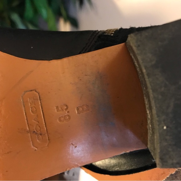 Coach - Picture 8 of 11